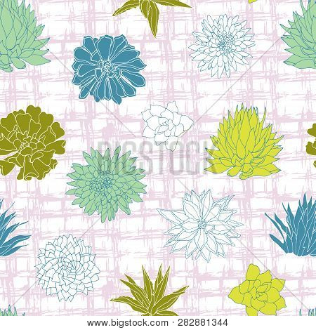 Mix Of Colorful Silhouettes And White Line Art Of Succulent Plant Illustrations Layered On Top Of A 