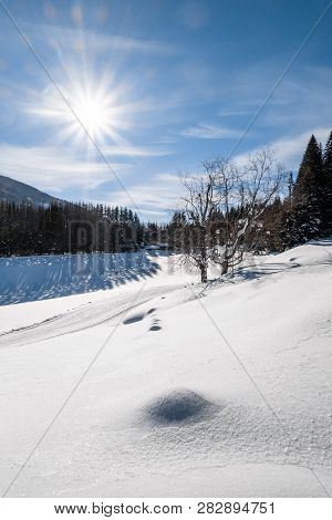 Cross-country Skiing Track Trail In Snow-covered Holiday Resort Hohentauern With Nice Sunbeams In Wi