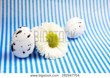 Easter Abstract Gift Card On Light Blue And White Textured Background With Easter Eggs   And Flower 