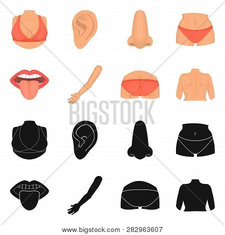 Vector Illustration Of Body And Part Symbol. Collection Of Body And Anatomy Stock Vector Illustratio