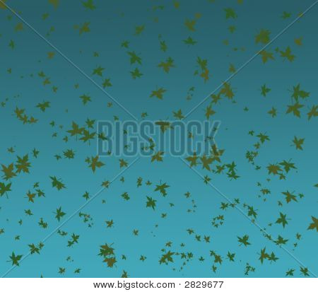 Shedding Of The Leaves