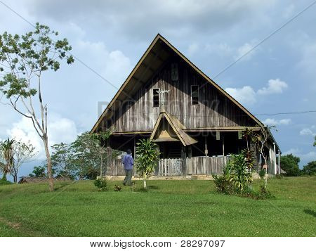 전통적인 Papuasian 하우스