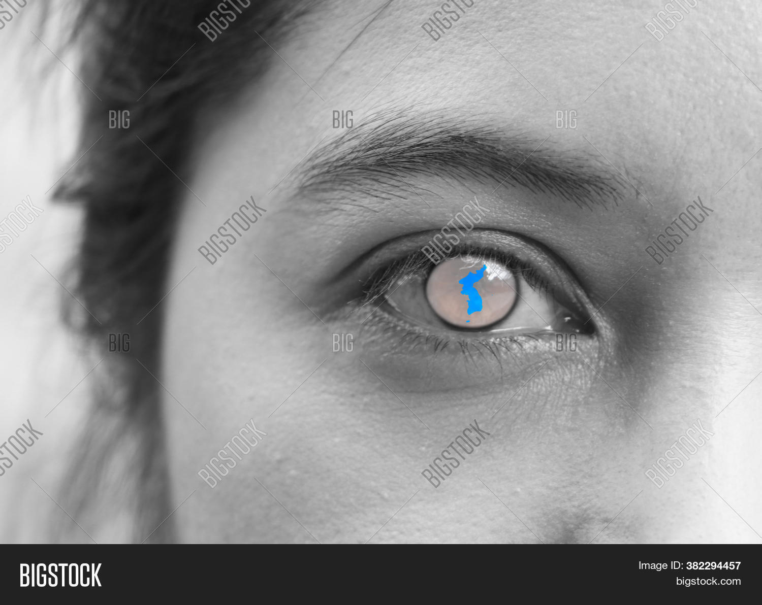 Black White Human Face Image & Photo (Free Trial) Bigstock
