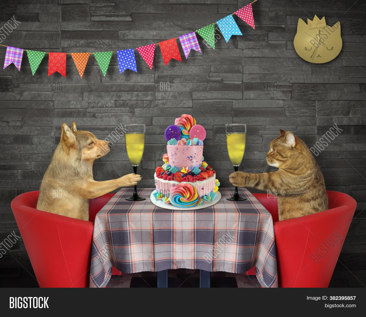 Cat Dog Together Image & Photo (Free Trial) Bigstock