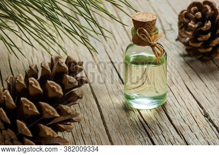 Pine Turpentine Essential Oil In Glass Bottle With Pine Coniferous Leaves And Pine Cone On Rustic Ta