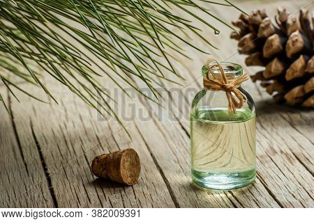 Pine Turpentine Essential Oil In Glass Bottle With Pine Coniferous Leaves And Pine Cone On Rustic Ta