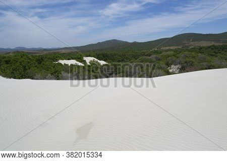 View Of The Arenas Biancas Beach And His Dunes, Teulada, Sulcis