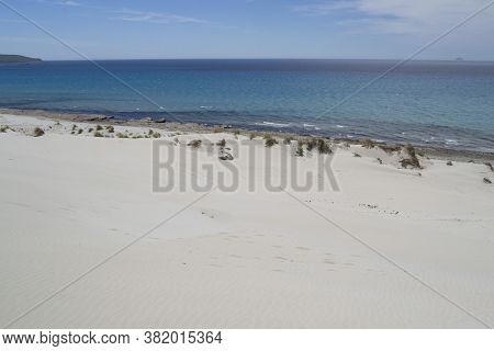 View Of The Arenas Biancas Beach And His Dunes, Teulada, Sulcis