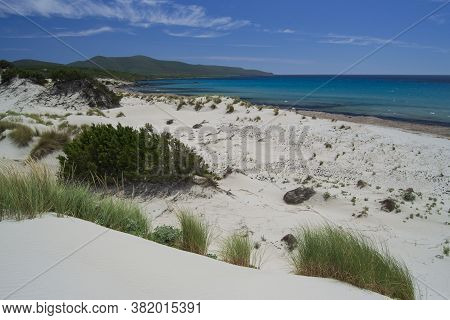 View Of The Arenas Biancas Beach And His Dunes, Teulada, Sulcis