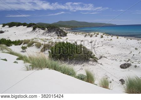 View Of The Arenas Biancas Beach And His Dunes, Teulada, Sulcis