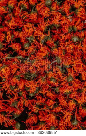 Medicinal Herbal Dried Plants Marigold, Orange Calendula.