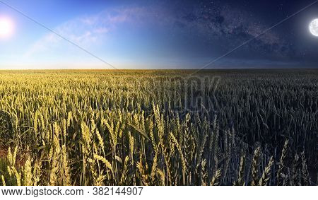 A Picture Of The Wheat Field In The Daytime And In The Nighttime