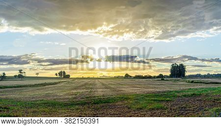 Late Afternoon Landscape On A Farm In The State Of Rio Grande Do Sul In Brazil