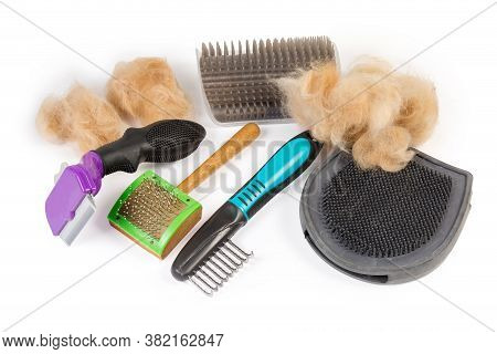 Different Combs And Brushes For Care Of Pets Hair Among The Clumps Of Red Cat Hair On A White Backgr