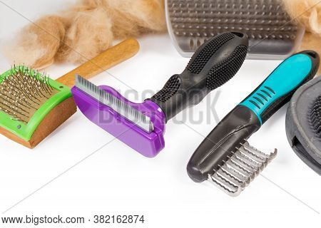 Combs Of Various Purposes For Care Of Pets Hair Among The Brushes And Clumps Of Combed Red Cat Hair 