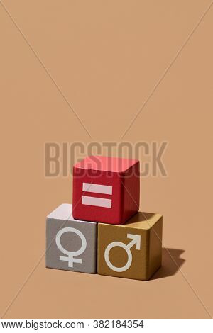 depiction of the gender equality made with some toy blocks: one with a female gender symbol, another one with an equals sign and another one with a male gender symbol, on a light brown background