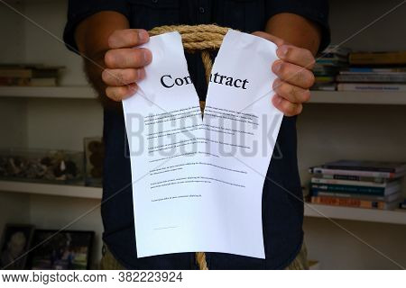 Tied Hands Tearing Contract Paper In Front Of Bookcase. Bound Man Hands Rip Paper Contract, Breach O