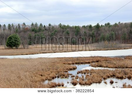 Podzim krajina marsh a holé stromy
