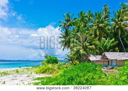 tropische Insel-Landschaft mit HÃ¼tten