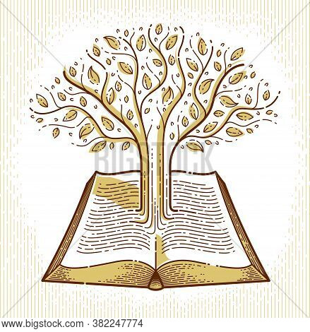 Tree Growing From Text Lines Of An Open Vintage Book Education Or Science Knowledge Concept, Educati
