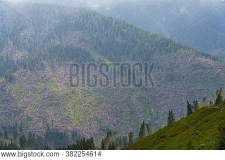 Mountain Landscape At Summer Along The Road To Manghen Pass, Trento, Trentino Alto Adige, Italy. Fal