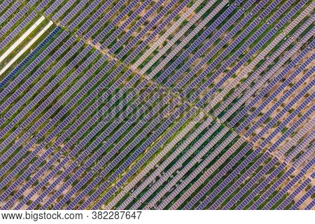 Aerial View Of The Solar Panel In Solar Farm For Green Energy