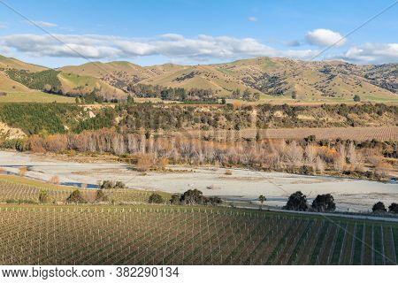 Vineyards Alongside Wairau River In Marlborough Region, South Island, New Zealand