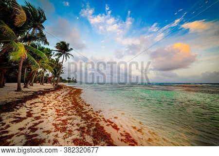 Bois Jolan Beach In Guadeloupe At Sunset, French West Indies. Lesser Antilles, Caribbean Sea