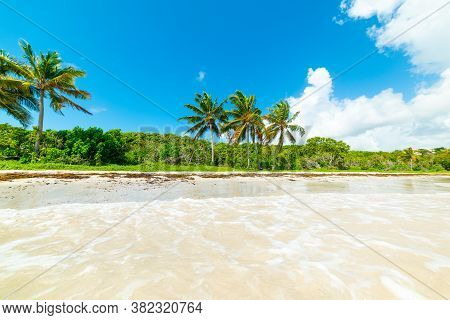Blue Sky Over Le Saline Beach In Guadeloupe, French West Indies. Lesser Antilles, Caribbean Sea