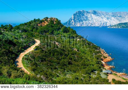 Green Hill By The Sea In Capo Coda Cavallo With Tavolara Island On The Background. Sardinia, Italy