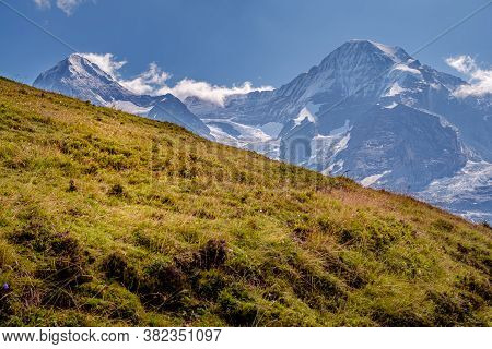 Alpine Pasture In Foreground And Snow Capped Peak Of Mountain Mönch In Background In Bernese Alps - 