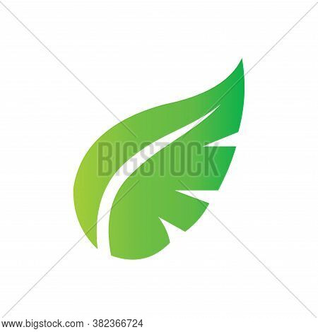 Leaf Icon Vector. Leaf Icon isolated on white background. Leaf Icon simple and moLeaf. Leaf icon. Leaf vector. Leaf icon vector. Leaves icon. Leaf vector icon. Leaf web icon. Leaf icons. Vector Leaf icon. Leaf icon design. Leaf Logo icon vector. Leaf Sign