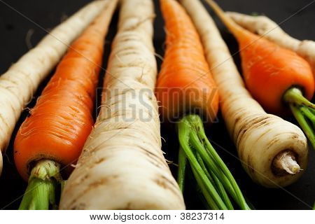 당근 그리고 양방 풍 나물 (얕은 dof)