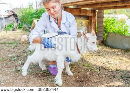 Young Veterinarian Woman With Stethoscope Holding And Examining Goat Kid On Ranch Background. Young 