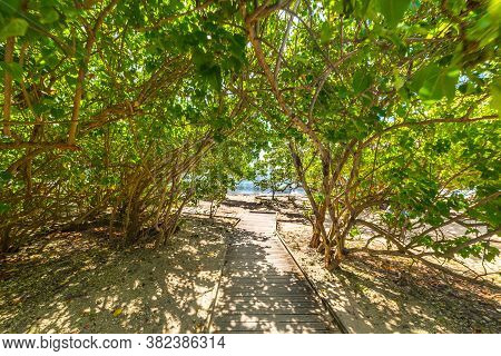 Wooden Boardwalk To The Beach In Guadeloupe, French West Indies. Lesser Antilles, Caribbean Sea
