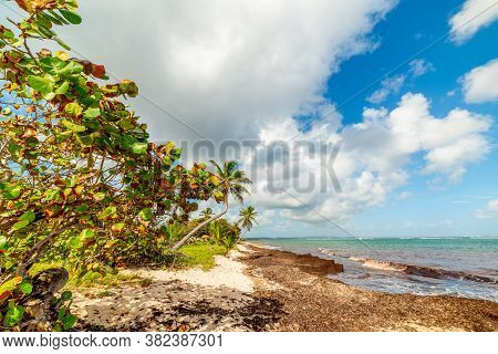 Autre Bord Beach Under A Cloudy Sky. Guadeloupe, Caribbean Sea