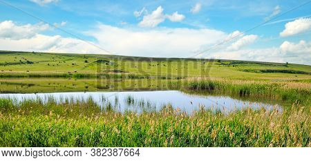 Beautiful Lake With Reeds On Summer Day. Wide Photo.