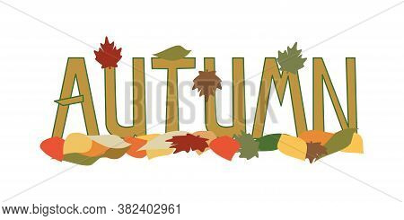 Word Autumn And Fallen Leaves.  Vector Illustration. Isolated On A White Background.