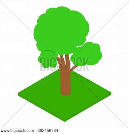 Oak Tree Icon. Isometric Illustration Of Oak Tree Vector Icon For Web