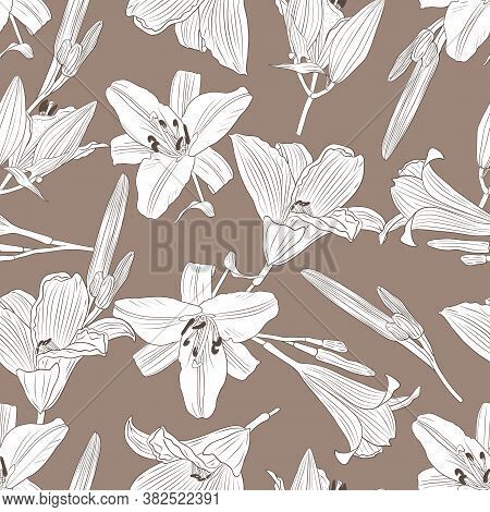 Botanic Collection. Vector Seamless Pattern With Lilium Flowers On A Brown Background