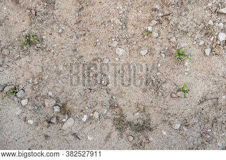 Ground Texture - Close-up Of A Fragment Of Compact And Stony Ground With A Small Amount Of Weeds - R