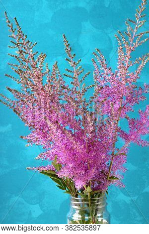 Pink Astilbe Flowers Against The Blue Bright Background