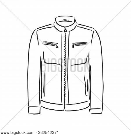 Hand Drawn Vector Illustration. Creative Black Contour Art Work. Ink Fashion Illustration. Vector Il