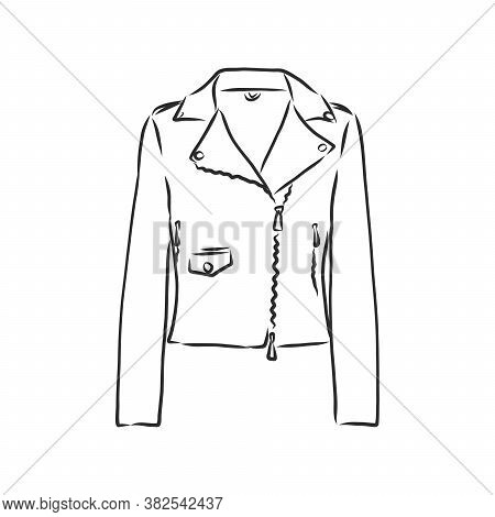 Hand Drawn Vector Illustration. Creative Black Contour Art Work. Ink Fashion Illustration. Vector Il