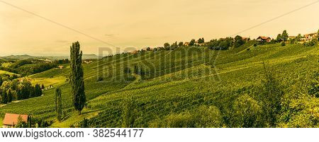 Winery Panorama On The South Styrian Wine Road In Austria. Famous Tuscany Like Spot For Wine Lovers.
