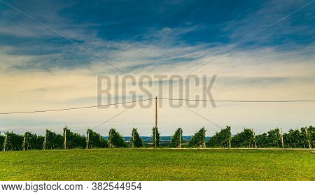 Vineyard Landscape At South Styrian Wine Road In Austria. Famous Tuscany Like Tourist Spot For Wine 