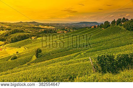 Vineyard Landscape At South Styrian Wine Road In Austria. Famous Tuscany Like Tourist Spot For Wine 