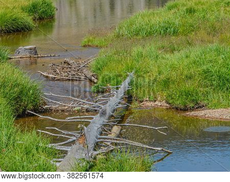 Beautiful Mountains, Forest And Landscape Near Monarch Pass In The Rocky Mountains Of Colorado