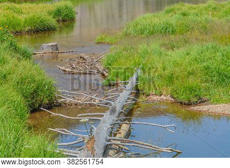 Beautiful Mountains, Forest And Landscape Near Monarch Pass In The Rocky Mountains Of Colorado