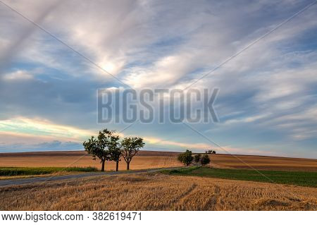 The Road Between Empty Field After Harvesting In Summer Evening. Czech Republic. Amazing Sunset In C